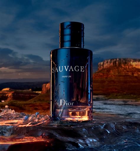 dior sauvage falabella|Sauvage: the world of the iconic Dior fragrance for men .